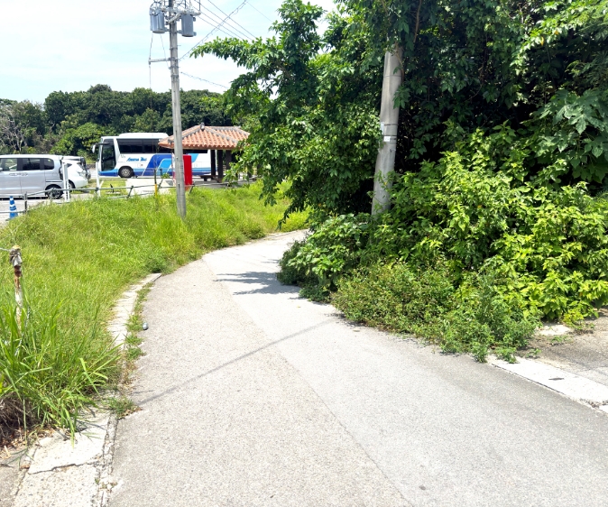 駐車場を見ながら道なりに真っすぐ進む道
