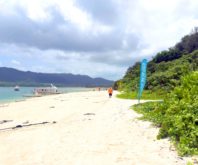 砂浜とブルーコーラルの登り旗
