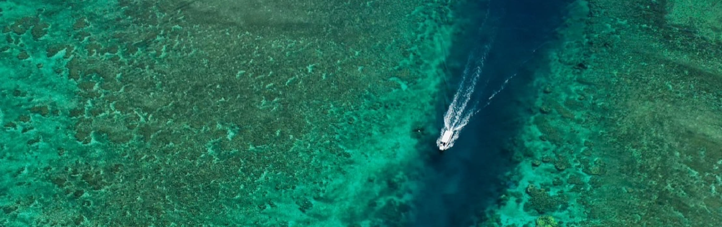 川平湾を航行するグラスボート