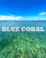 石垣島の海硝子 〜Pastel Blue〜 石垣島の海硝子 〜Pastel Blue〜 アート・写真