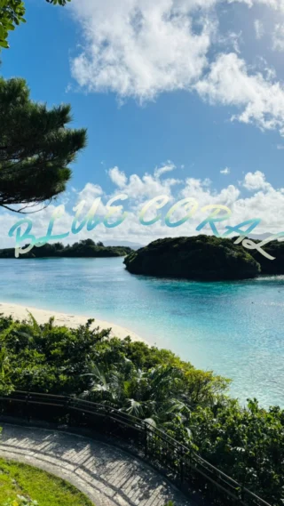 公式】ブルーコーラル川平湾遊覧船｜石垣島グラスボートBLUE CORAL