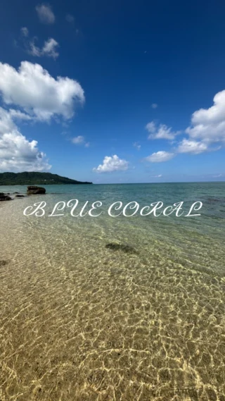 公式】ブルーコーラル川平湾遊覧船｜石垣島グラスボートBLUE CORAL
